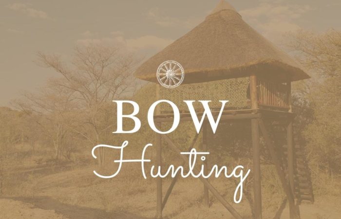 Bow Hunting Safari Africa